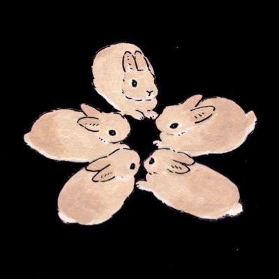 angelyizhuo's profile picture. 