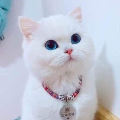 AbkyaB's profile picture. Dream big, work hard, and taste the success.