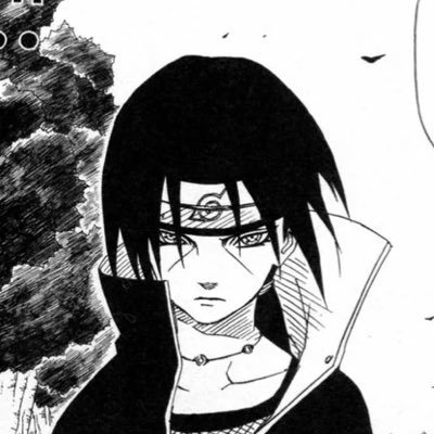 Mealiy_BRBR's profile picture. 本垢 @fxylzborn