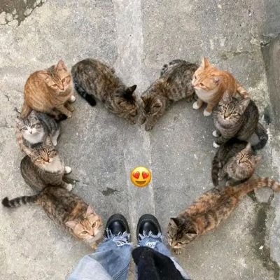 Peace4596's profile picture. 