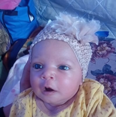 nassmahamed0's profile picture. 