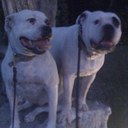 Darnell  Miller - @CHAVISreign - Twitter