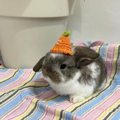 myjeong19's profile picture. 