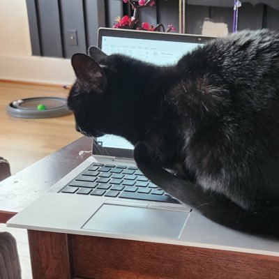 Versuhtyle's profile picture. 