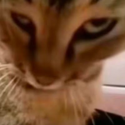 lioyunzh115658's profile picture. 