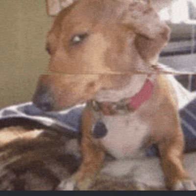 Zamoney1585566's profile picture. 