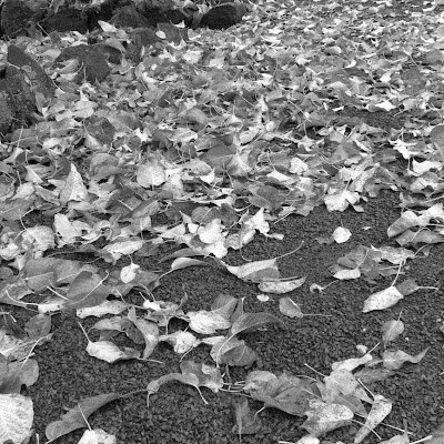 tryagainpleasme's profile picture. herşeyin sonu başlangıcın anahtarı