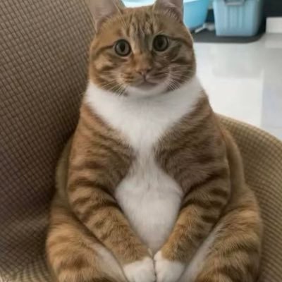 Skymoon201095's profile picture. 