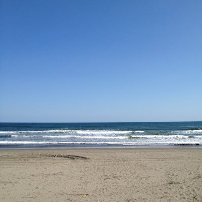 HsEujm9s83815's profile picture. 埼玉東側。ISFP。非喫煙。カフェ/アニメ/時々サウナ。22-25時に少しだけ。落ち着いた人だと助かる。 強い口調は受けない。固定→合えばDM。