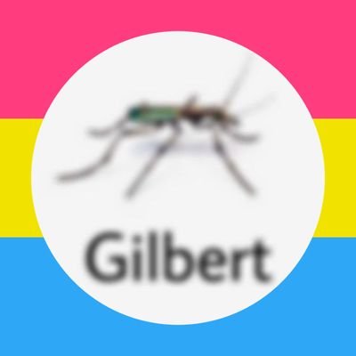 GilbertMosquito's profile picture. 