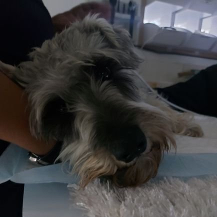 ggrecia_'s profile picture. Madre de dos hermosos hijos, portadora de que la fe, la constancia y la perseverancia rompen barreras de lo imposible...