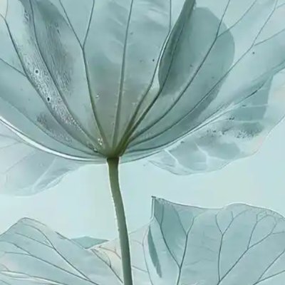 tnzhv99593447's profile picture. 