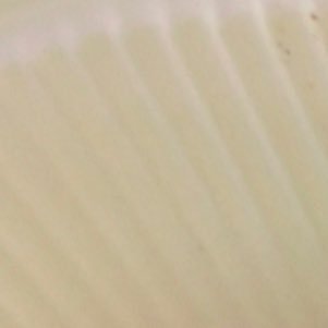 I2oovv's profile picture. 情報収集用 / 成人済