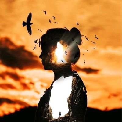 leespinosaz's profile picture. 