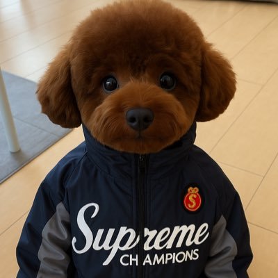 r9max's profile picture. 4歳のトイプードル🐶スニーカー初心者🔰👟 ククや着画たまにあげてます よろしくお願いします