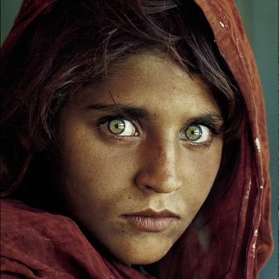 Pooja_Kumar1218's profile picture. Reporter in Kabul | Human stories from conflict zones | Tracking governance, society & resilience in Afghanistan
زمری په پنجره کې هم زمری دی.