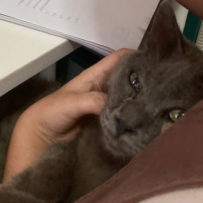 543user_'s profile picture. 