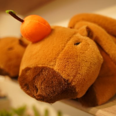 kind2577's profile picture. 조용히 마음 누르기 전문가 /
📷실력은 아직 많이 부족해요..😢