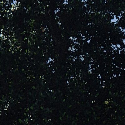 PaaruUlla's profile picture. 