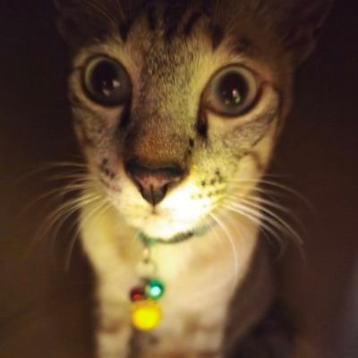 Yodia_999's profile picture. พนักงานออฟฟิศ อายุ 24 บ้านอยู่ลาดกระบัง