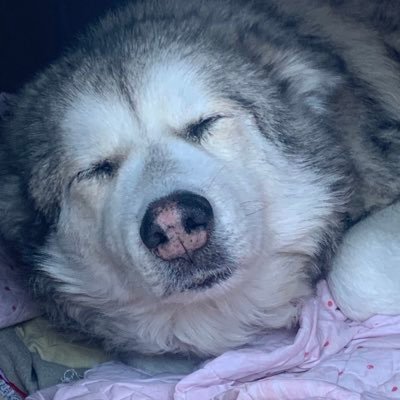 Xelmyn Rivera Profile