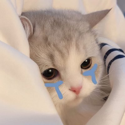 may_kanyarat39's profile picture. Love always loses to attachment ___ @skywongraveee @hirunkit_ @gemini_ti @tawattannn ((@chenrcj ✨)) 🫶🏻