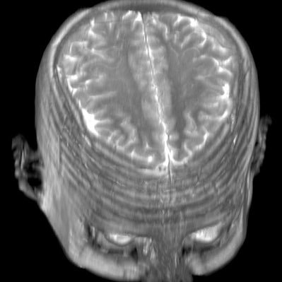 revensec's profile picture. XMR