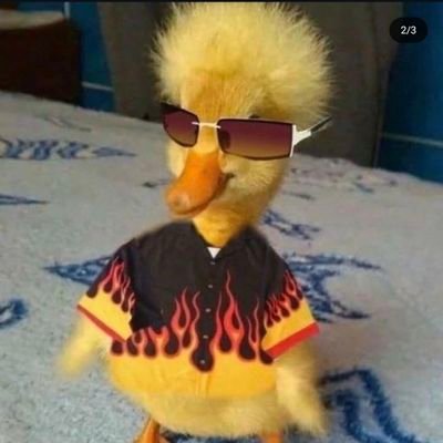 tatamuntaa's profile picture. 