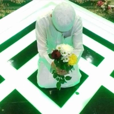 zein_7770's profile picture. 