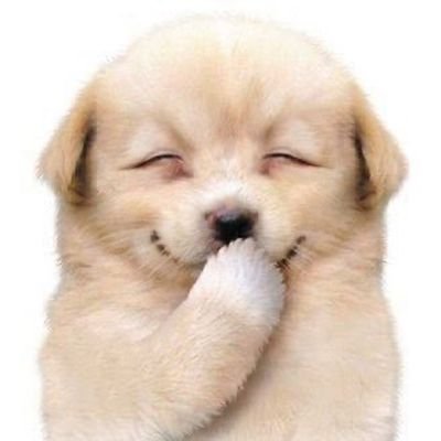 hannadeLirios's profile picture. discografia da wave to earth