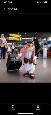 Alice8511640597's profile picture. 