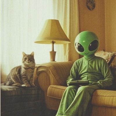 zhangyi50880881's profile picture. hippie