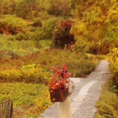 nooctuax's profile picture. she/her  •  ro/esp/eng   •  asian movies, dramas, faves..