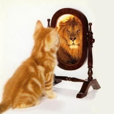 eu6934231974690's profile picture. 