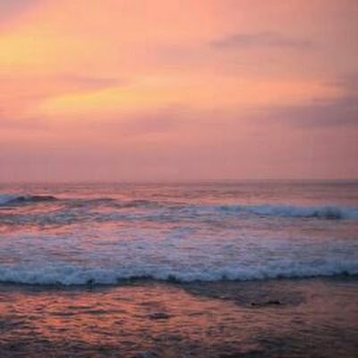 OlaAjibose39012's profile picture. 