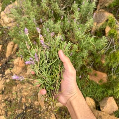 GhauthbnNabt's profile picture. قالَ رسولُ الله صلى الله عليه وسلم (الكَيِّسُ مَنْ دانَ نَفسَهُ ، وَعَمِلَ لِما بَعدَ الموت ، والعاجِزُ مَن أتْبَعَ نَفسَهُ هواها ، وَتَمَنَّى على الله)