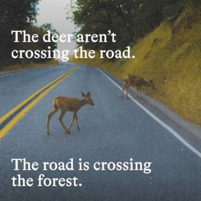 ekky_fjr's profile picture. Designer