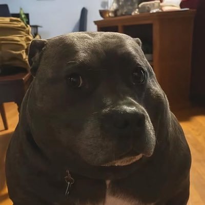 bizrySOL's profile picture. @bizry77