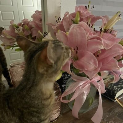 Retaj46377's profile picture. 