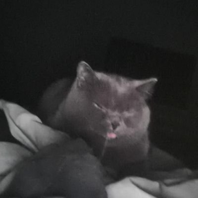 FoomixDD's profile picture. 📩 Discord : fomixix