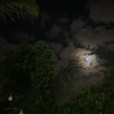 marryyyammmm's profile picture. a pathological people pleaser :) | @maryyamspriv