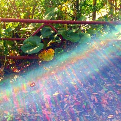 Sierra_0113's profile picture. Peace🕊️animism🌿
神仏、龍 蛇、鉱物、歴史、郷土史、書　⋆画像は全て自分の撮影です。
縄文時代の日本には既にあった、ハート形♡🩶 の探究
ご先祖は常州車城から移封した車氏、佐竹氏家臣 車丹波守 車斯忠