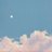 beni__B's profile image
