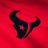 Houston Texans