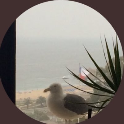 Yoyaglosag's profile picture. 💚El amor y la paz siempre están de moda para mi!…..Hay que estar donde se necesita que estés.