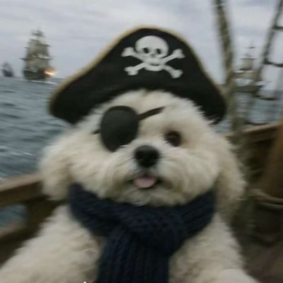 gudng334750's profile picture. The world is burning, why not fight.