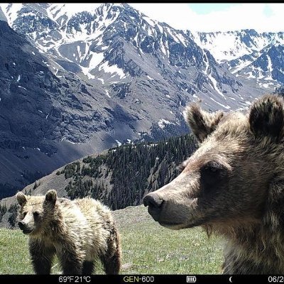 Suhrid0's profile picture. ML student