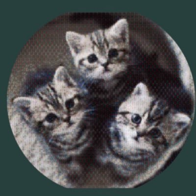 akie_kbb's profile picture. 