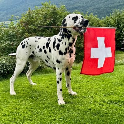 Heiterweiter66's profile picture. Klima-, Gender- und Coronawahn ohne mich - Natur, 🐕, Food, Sound 🎶 - Individuelle Freiheit, keine Umerziehung 😎🌴*natürlich alles Satire*
