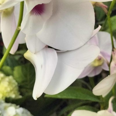 Educ_Everything's profile picture. 